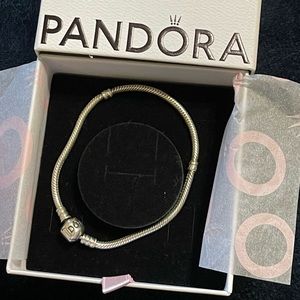 Pandora Moments Snake Chain Bracelet